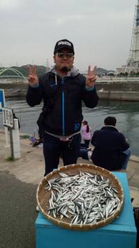 マリーナシティ海釣り公園、イワシ大漁 ♪　