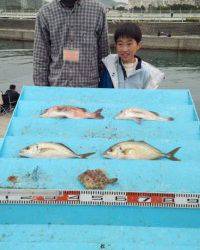 マリーナシティ海洋釣り堀、お子さんもシマアジ釣れて嬉しそう！