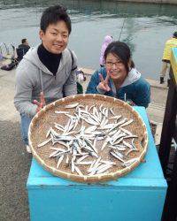 マリーナシティ海釣り公園、イワシ大漁 ♪　