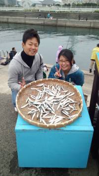 マリーナシティ海釣り公園、イワシ大漁 ♪　…