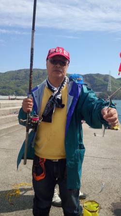 マリーナシティ海釣り公園 サビキでイワシ楽…