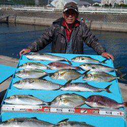 マリーナシティ海洋釣り堀 今日は青物が好調！