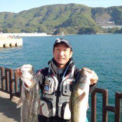 マリーナシティ海釣り公園 イワシの飲ませ釣りでスズキ62＆68cm！