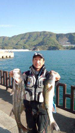 マリーナシティ海釣り公園 イワシの飲ませ釣りでスズキ62＆68cm！