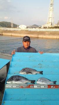 マリーナシティ海釣り公園でブッコミ釣り★ま…