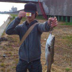 朝の舞洲でシーバスが釣れるかためしにいってきました！