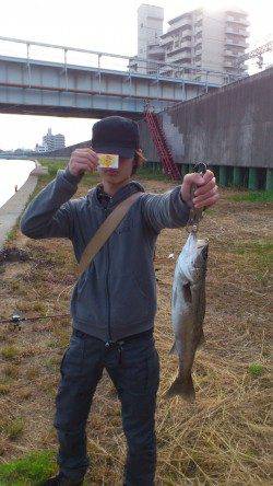 朝の舞洲でシーバスが釣れるかためしにいってきました！