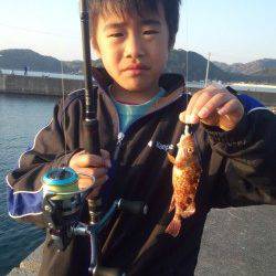 阿尾漁港でエギの合間に2gのジクヘッドでガシラＧＥＴ