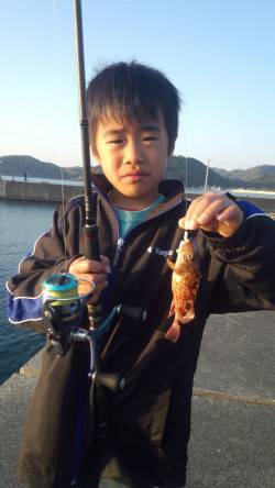 阿尾漁港でエギの合間に2gのジクヘッドでガ…