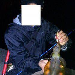 方杭漁港 ナイトエギングでアオリイカ400g