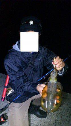 方杭漁港 ナイトエギングでアオリイカ400g