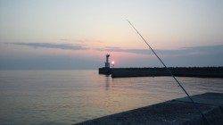 仮屋 ちょい投げでキス・ガシラなどの釣果☆