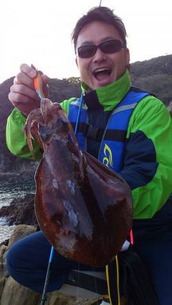 田杭漁港 エギングでアオリイカ850g！