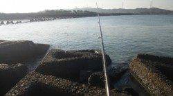 南塩谷 朝のルアー釣りでヒラスズキ43cm☆