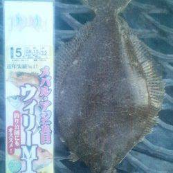 とっとパーク小島 マアジ18～27ｃｍ17匹の他、メイタガレイなども