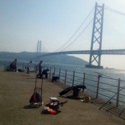 アジュール舞子 投げ＆ズボ釣りでガシラ・メゴチ・メバル