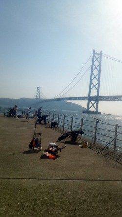 アジュール舞子 投げ＆ズボ釣りでガシラ・メゴチ・メバル