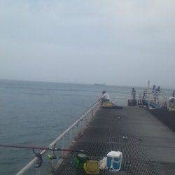 シモツピアーランド サビキ＆ズボ釣りで ガシラ・マアジ・イワシなど！