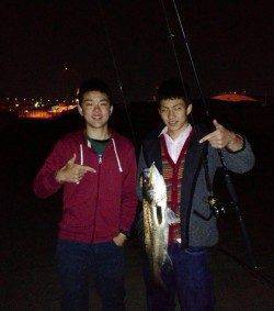 助松埠頭 ルアーでシーバス2匹 バチ抜け始まってます☆