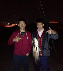 助松埠頭 ルアーでシーバス2匹 バチ抜け始…