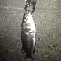 舞洲 メバリングでメバル・ガシラ・シーバス 舞州周辺も上向きか