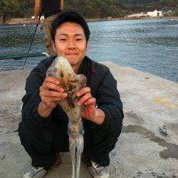 衣奈漁港 日中のエギングでアオリイカ＆コウイカ