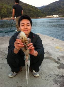 衣奈漁港 日中のエギングでアオリイカ＆コウ…