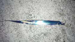 佐野、夜明け前からタチウオ連続Ｈｉｔ！シー…