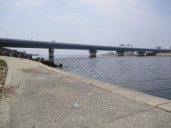 武庫川河口 投げ釣りでキビレ43cm