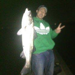 汐見埠頭 シンキングペンシルでシーバス71cm！