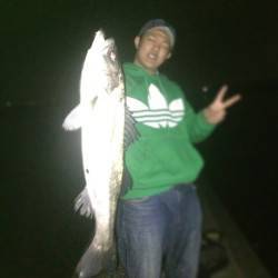 汐見埠頭 シンキングペンシルでシーバス71…