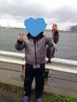 大阪南港 エビ撒き釣りでチヌ45cm