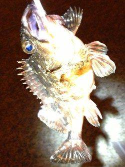 垂水漁港 メバリングでガシラ〜23cm2匹