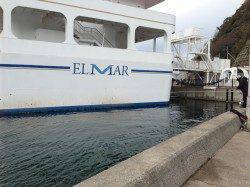 海親公園でウキ釣りで45cmの良型チヌ！