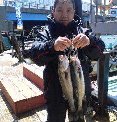 岸和田中波止でのハネ、ウキ釣りでの釣果