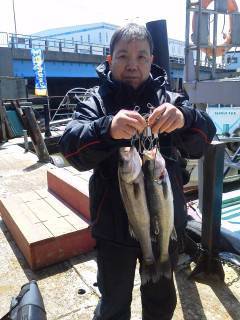 岸和田中波止でのハネ、ウキ釣りでの釣果