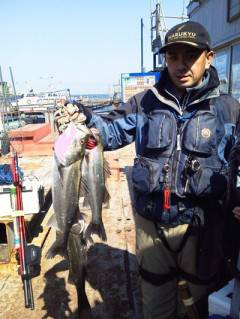 岸和田一文字、13日のウキ釣りハネ情報♪