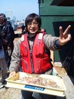 沖の一文字でのタコ釣り、釣果も増えてきてい…