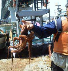 沖の一文字で、てんやで1キロのタコＧＥＴ！