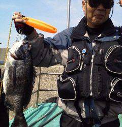 今日の沖の北でのウキ釣り、チヌ・ハネあがってます