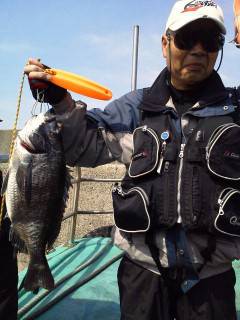 今日の沖の北でのウキ釣り、チヌ・ハネあがっ…