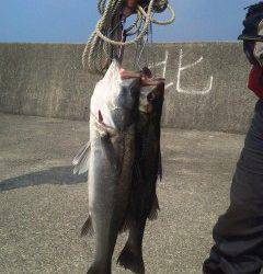 ハネ48センチと56センチ！〜沖の北で〜