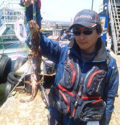 岸和田一文字 シラサ使用のウキ釣りでメバル＆ガシラ