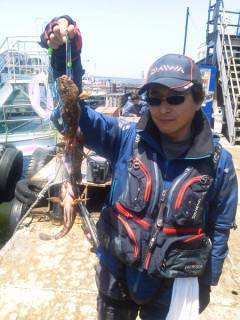 岸和田一文字 シラサ使用のウキ釣りでメバル＆ガシラ