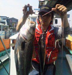 しらさでのウキ釣り　魚種多様に釣れています♪