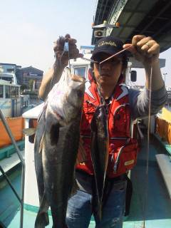 しらさでのウキ釣り　魚種多様に釣れています…