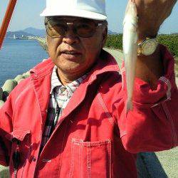 佐野でのキス釣果、今月末ぐらいからは淡路のキスも活発になりそう♪