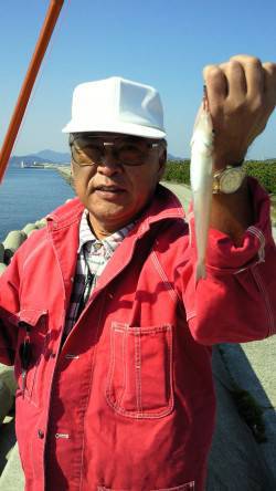 佐野でのキス釣果、今月末ぐらいからは淡路の…