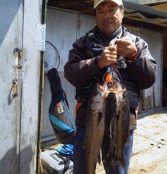 【4日】岸和田エリア　ウキ釣りハネ情報♪