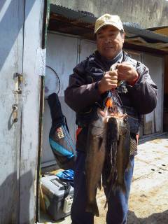 【4日】岸和田エリア　ウキ釣りハネ情報♪